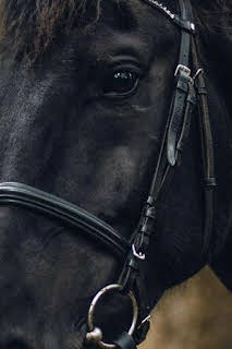 15:00: Ride FEI Originals | CNBC | 3/29 2026