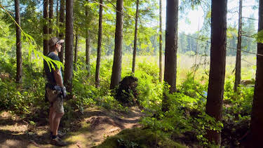 15:00: Treehouse Masters (S7 E16) (S7) | Animal Planet | 1/5 2026