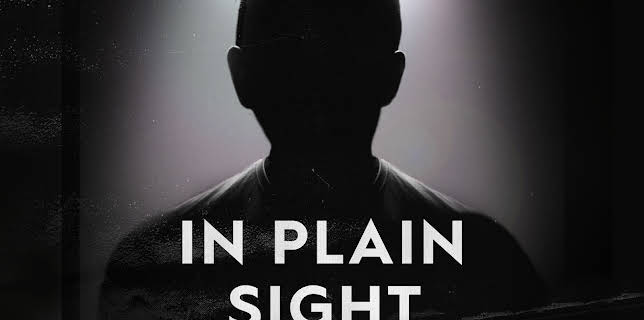 In Plain Sight Season 1