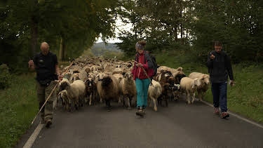 15:30: Geschichten vom Hof | SR Fernsehen | 4/12 2026