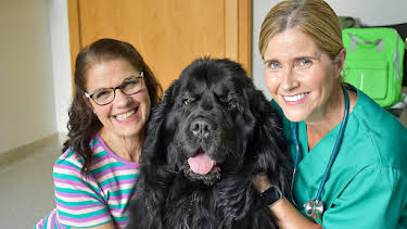 1:25 PM: Dog Squad (S2) | Cbeebies | 2/2 2026