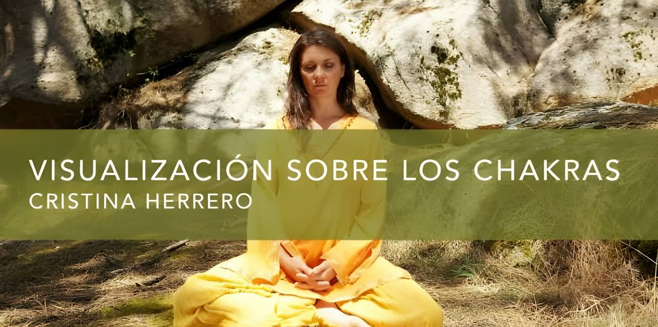 Visualización sobre los Chakras (2018)