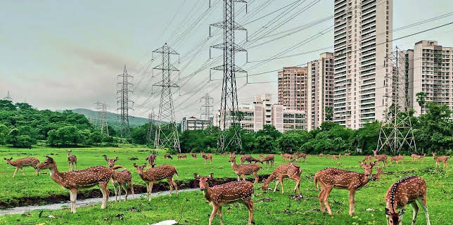 18:35: Oasen - Inseln des Lebens | Arte | 2/10 2026