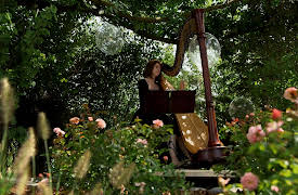 Dog Tales Rescue: Above and Beyond