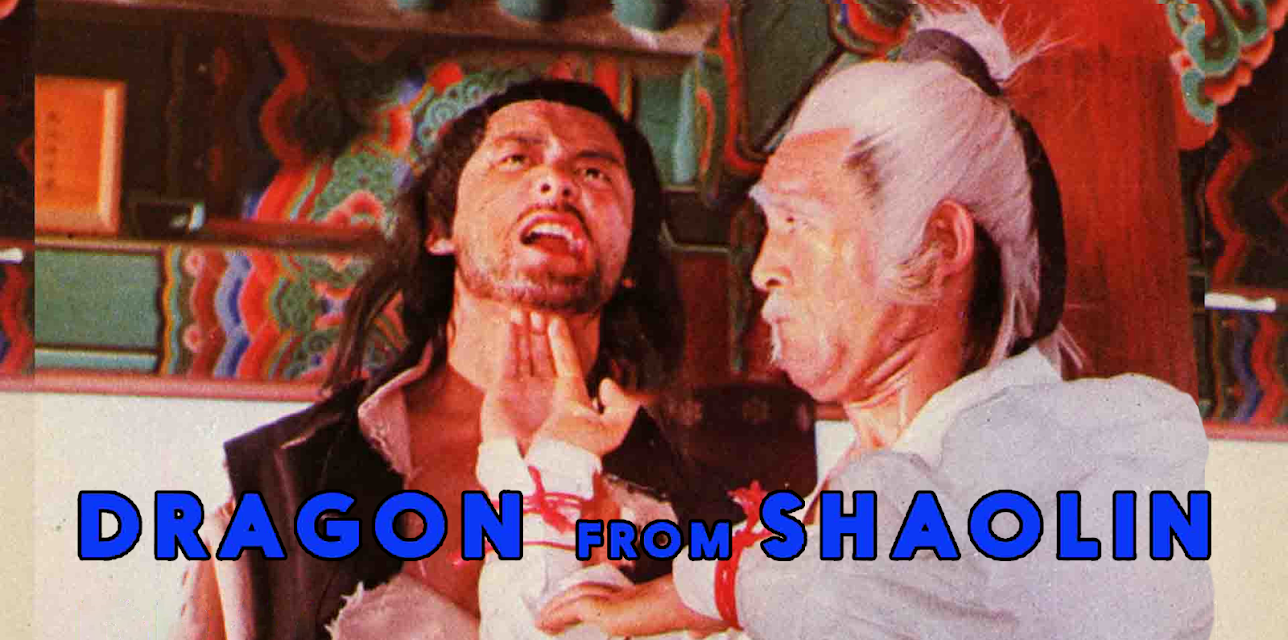 Dragon From Shaolin (1996)