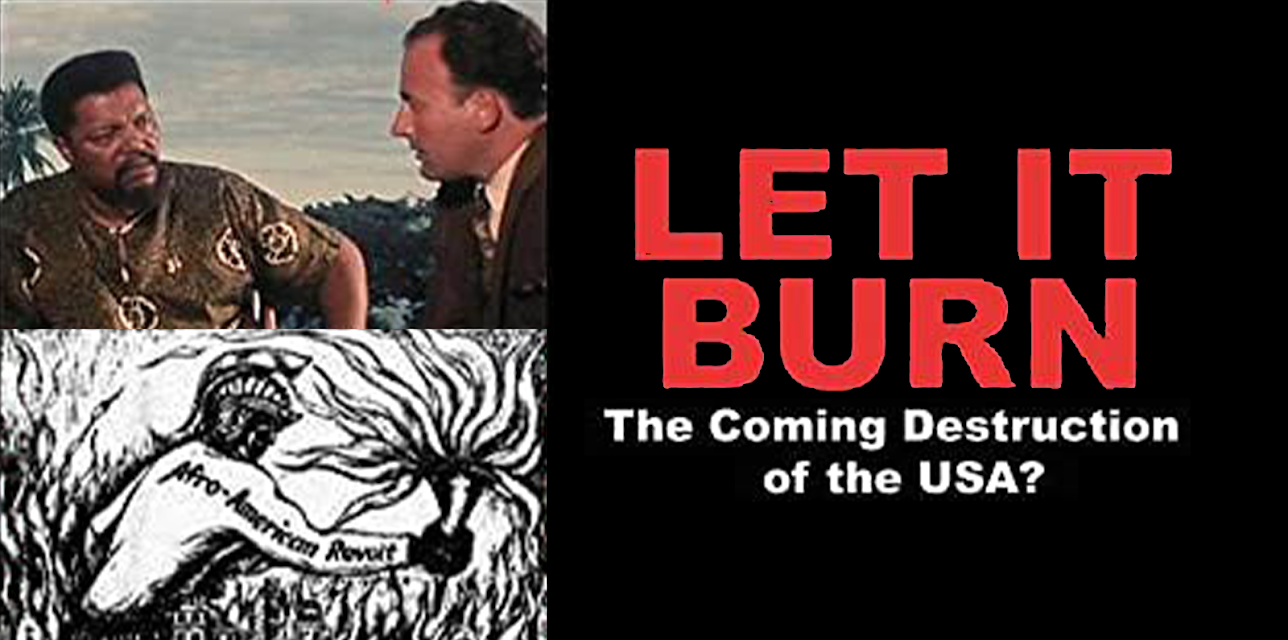 LET IT BURN - The Coming Destruction of the USA? (2015)