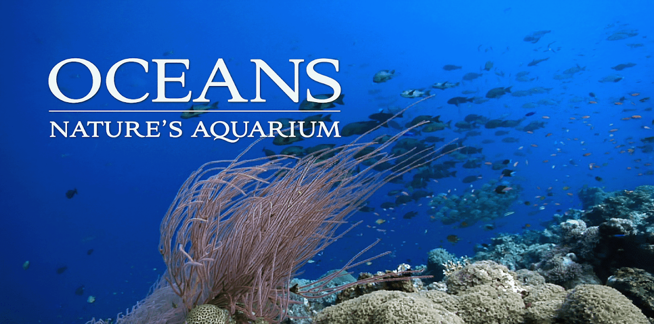 Oceans: Nature's Aquarium (2013)