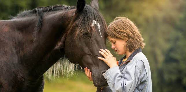08:30: Ostwind (4) | BR Fernsehen | 3/1 2026