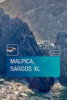 23:50: Malpica, sargos XL | Caza y Pesca | 7/12 2026