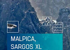 Malpica, sargos XL