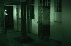 Ghost Adventures: Extra Pulses, Vol. 1: Old Licking County Jail