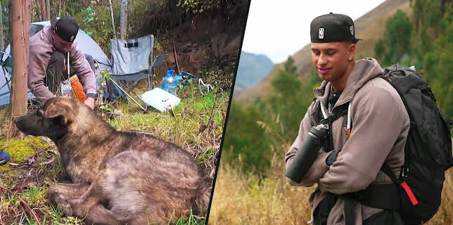 01:25: Reality Backpackers | ProSieben | 1/21 2026