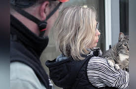 Treetop Cat Rescue, Season 1: Top Cats