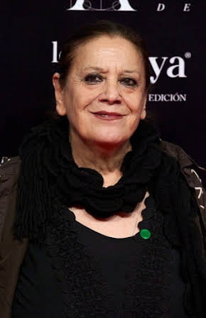 Terele Pávez as 