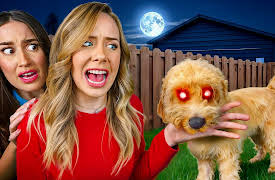 The Besties in Spooky Sleepover: a pocket.watch mishmash: Spooky Puppy Playtime!