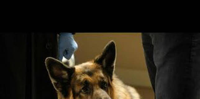 10:08: Hudson y Rex (T5): Ep.12 El club de las vidas perdidas | Calle 13 | 3/25 2026