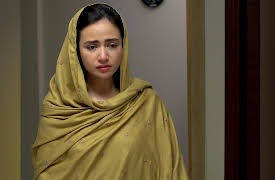 Aye Musht-E-Khaak: Episode 17