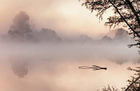 The Spiritual Brain: Science and Religious Experience: Reality and Beyond