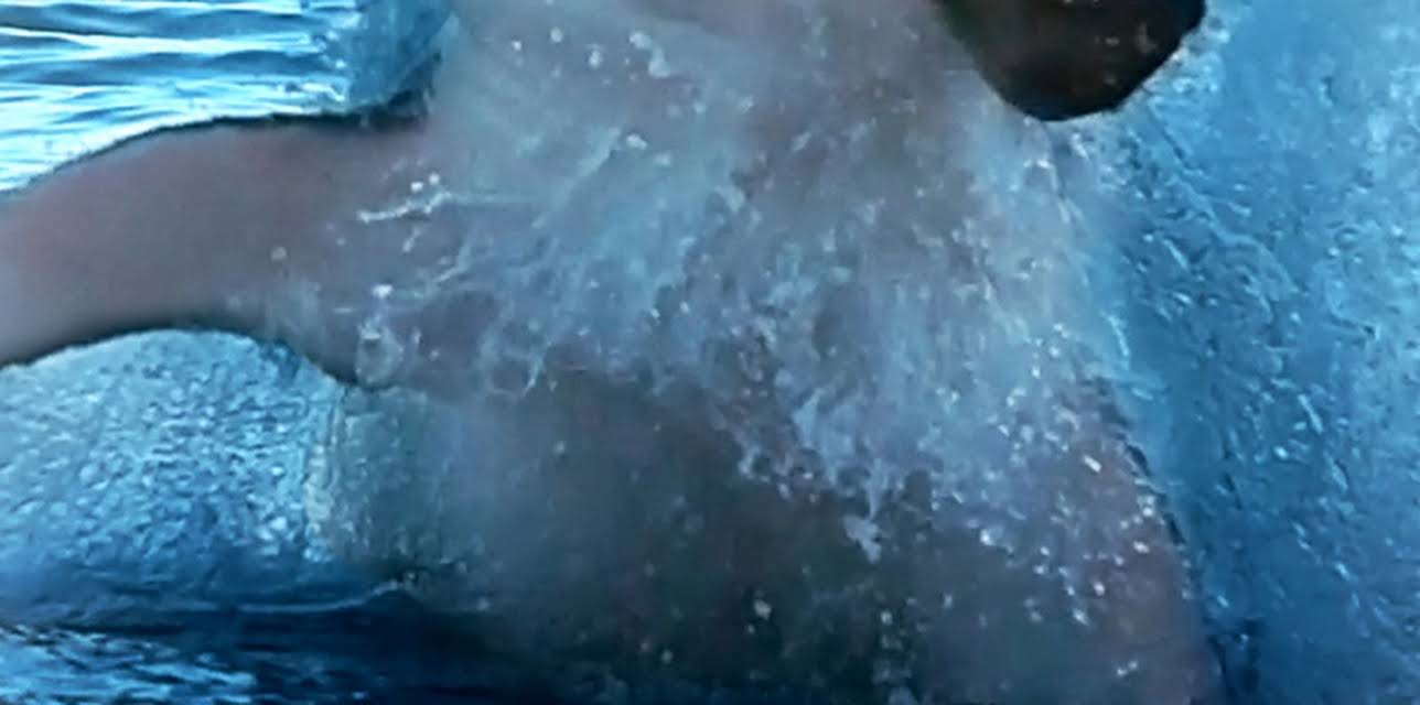 Rise of the Great White Shark (2017)