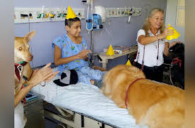 Petchannel Brasil: Pet Therapy & The Curious Ferrets