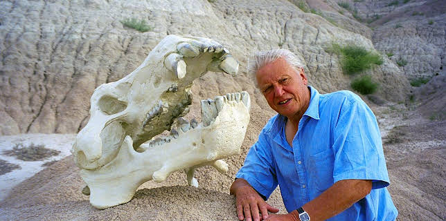 6:00 PM: The Life of Mammals (S1 E8) (S1) | Yesterday | 12/14 2025