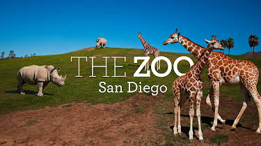 06:50: The Zoo: San Diego (S1 E6) (S1) | Animal Planet | 5/1 2026