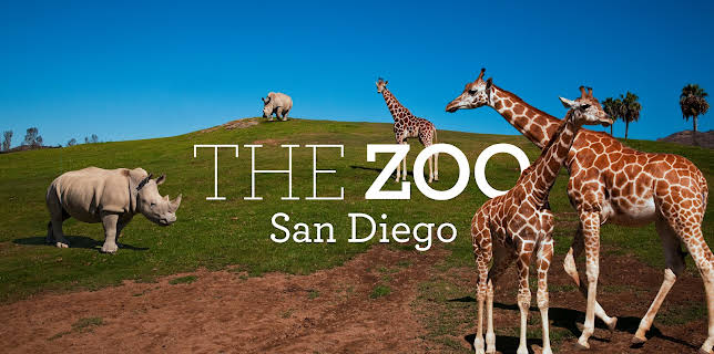 06:50: The Zoo: San Diego (S1 E1) (S1) | Animal Planet | 2/20 2026
