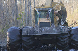 Swamp Loggers Season 1: Logging for Steak