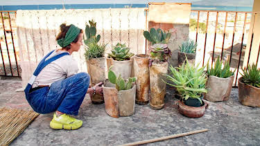 13:55: Husdraumar på Sicilia: Planting | NRK 2 | 4/30 2026