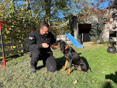 04:30: Schweizer Hundegeschichten: Laufhund Lilly und die Appenzeller | 3SAT | 7/7 2026