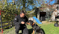 Schweizer Hundegeschichten: Laufhund Lilly und die Appenzeller