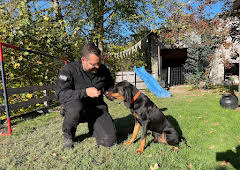 Schweizer Hundegeschichten: Laufhund Lilly und die Appenzeller