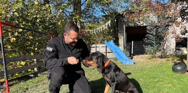 16:45: Schweizer Hundegeschichten: Laufhund Lilly und die Appenzeller | 3SAT | 3/3 2026