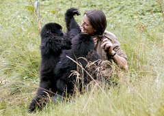 Dian Fossey: Ihr Leben für die Gorillas
