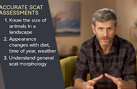 Nature Watching: How to Find and Observe Wildlife: What Scatology Teaches If We Don’t Look Away