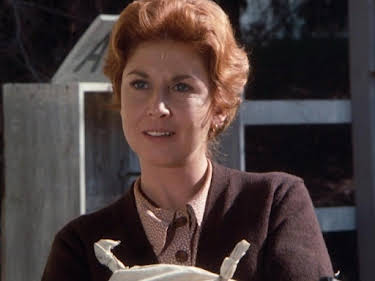 12:45: Die Waltons | Sat1 Gold | 9/1 2026