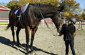 I Am Shauna Rae, Season 1: Get Off Your High Horse