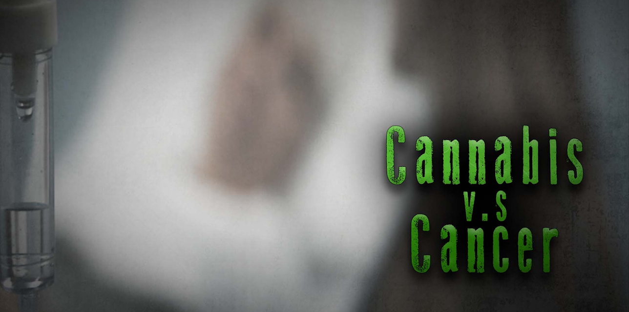 Cannabis v.s Cancer (2020)