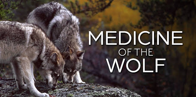 Medicine of the Wolf (2015)