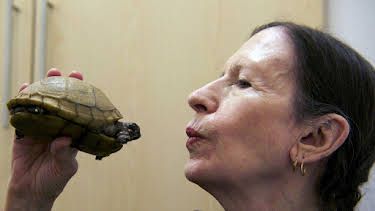 23:00: Meredith Monk - Die Welt in ihrer Stimme | Arte | 3/29 2026