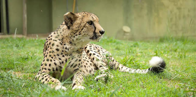 17:15: Grandes Documentales Rescate De Animales Bebe | LA 2 | 1/2 2026