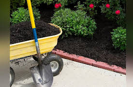 How to Grow Anything: Make Your Trees and Shrubs Thrive: Spring and Summer Care of Trees and Shrubs