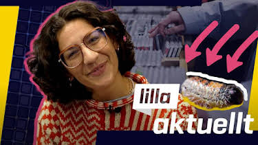 09:45: Lilla Aktuellt | Barnkanalen | 8/4 2026