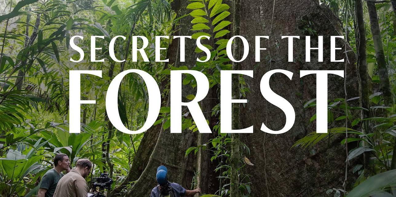 Secrets of the Forest (2025)