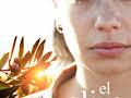El olivo