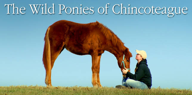The Wild Ponies of Chincoteague (2019)