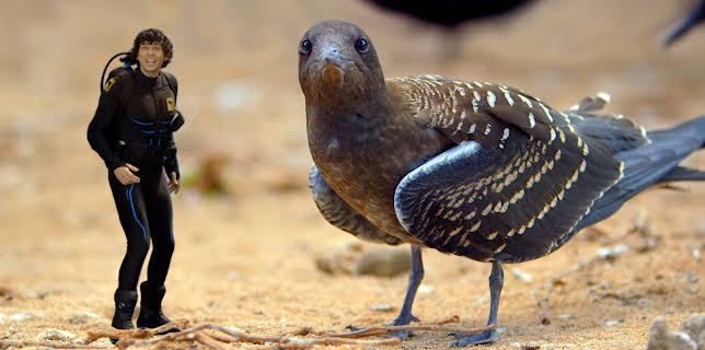 10:45: Andys ville vasseventyr: Andy og sotterna | NRK Super | 12/3 2025