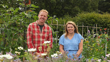 9:30 AM: Beechgrove Garden | BBC Two | 8/23 2026