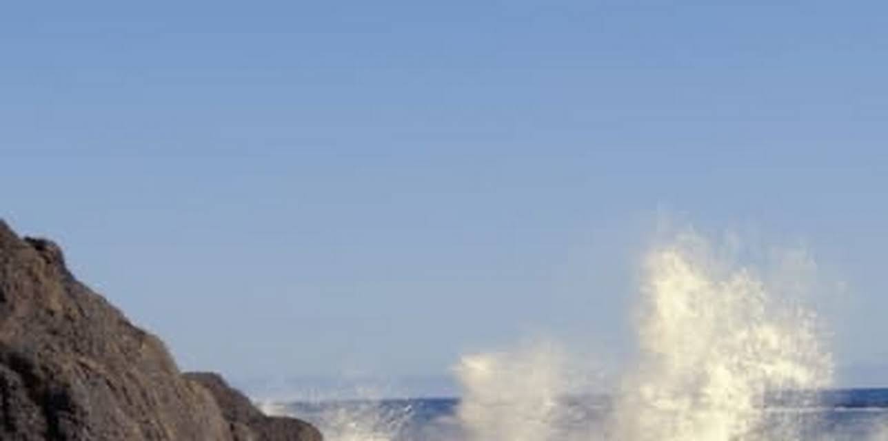 The Cove at Point Dume (2023)