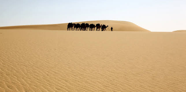 01:50: Die Farben der Wüste (1/3) | 3SAT | 2/16 2026